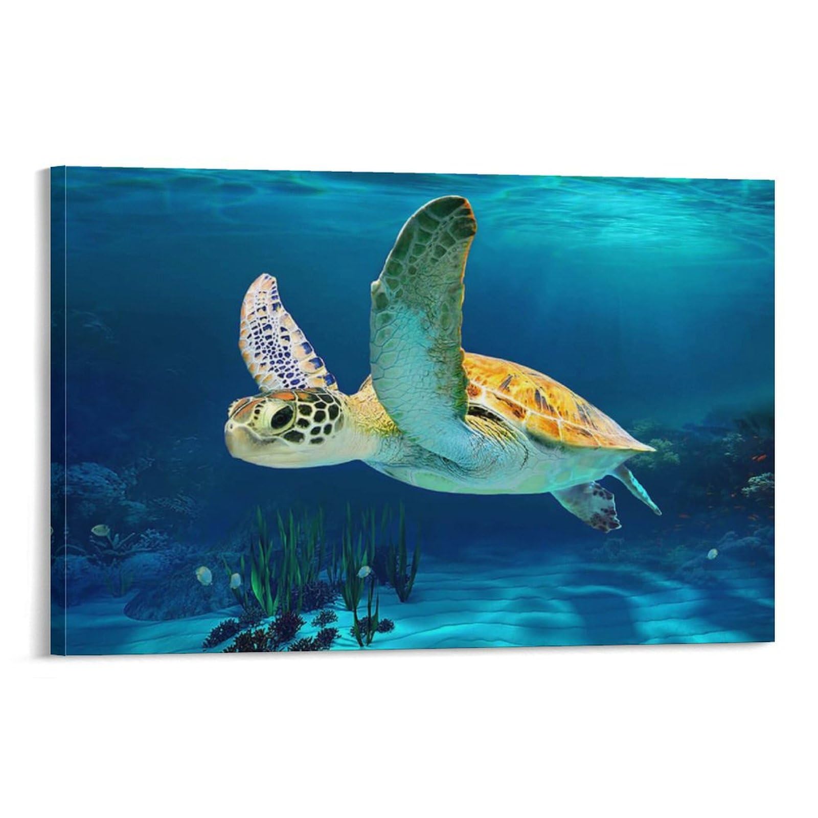 Amazon.co.jp: Sea Turtle Poster 海亀ポスター水中世界の深海生物海亀